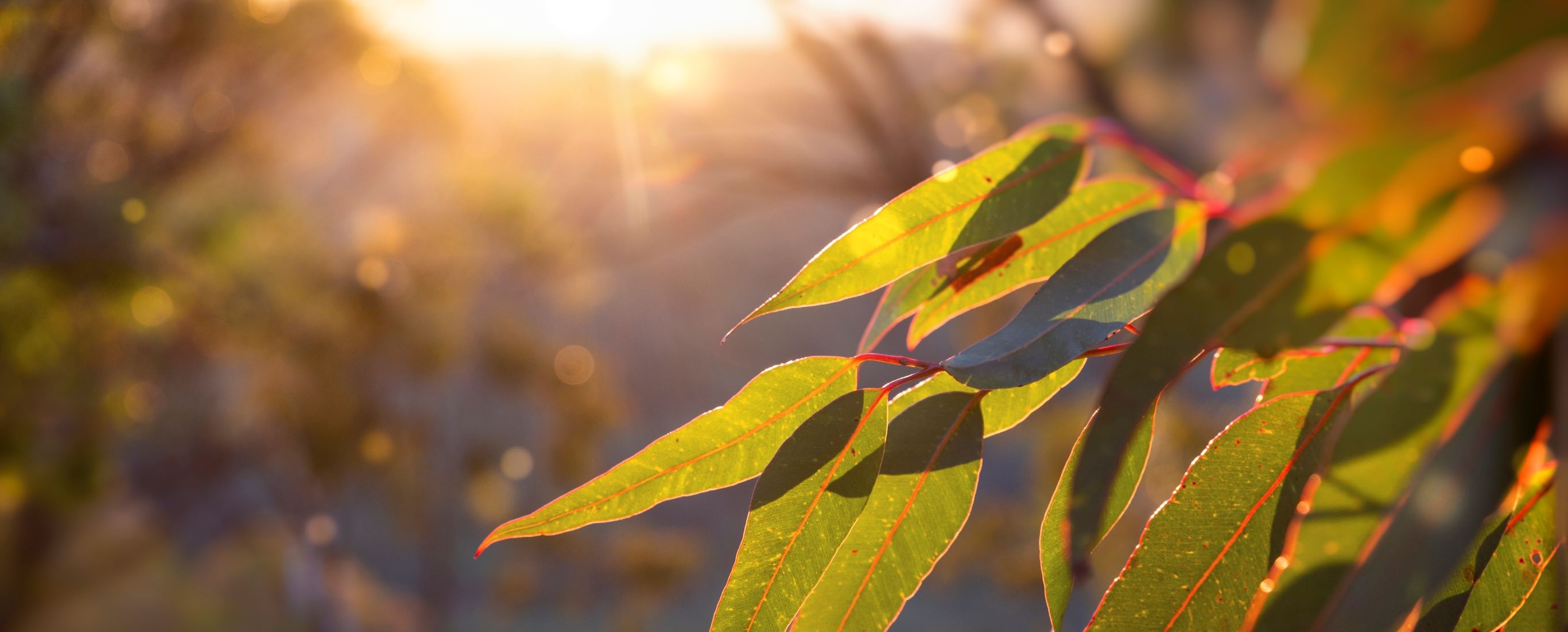 Caring for our environment